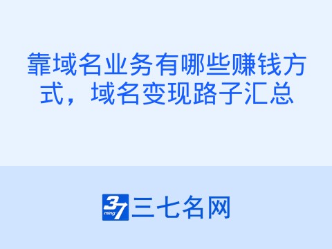 靠域名业务有哪些赚钱方式,域名变现路子汇总